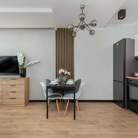 Lejlighed Modern Close To The Center And The In By Renters *