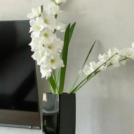 Modern Close To The Center And The In By Renters * Gdynia